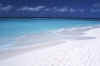 beachnishi1-s.jpg (46210 byte)