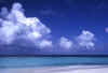 kumo-s.jpg (49479 byte)