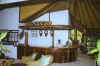 reception-ss.jpg (29935 byte)