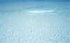 wave1-2-s.jpg (43339 byte)