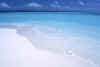 isole maldive vilu reef resort isola di meedhufushi atollo di nilandhoo sud