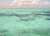 isole maldive vilu reef resort isola di meedhufushi atollo di nilandhoo sud