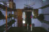 dive6.jpg (33113 byte)