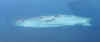 digux6-8-h.jpg (37868 byte)