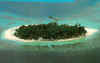 thundufushi.jpg (54366 byte)