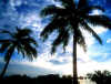 isole Maldive White Sands resort & Dhidhoofinolhu water village atollo di Ari sud