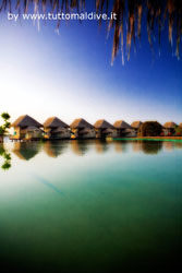 isole maldive fotografie video informazioni notizie e consigli utili isole maldive cinnamon alidhoo island resort atollo di haa alifu