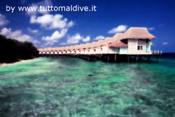 isole maldive fotografie video informazioni notizie e consigli utili isole maldive cinnamon alidhoo island resort atollo di haa alifu
