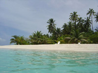 isole maldive foto photo informazioni consigli utili alimatha resort isola di alimatha atollo di felidhoo settembre 2004 by Maria Elena&Lorenzo