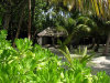 isole maldive fotografie informazioni consigli utili alimatha resort isola di alimatha atollo di felidhoo by Liviana e Giorgio dicembre 2005
