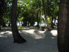 isole maldive fotografie informazioni consigli utili alimatha resort isola di alimatha atollo di felidhoo by Liviana e Giorgio dicembre 2005