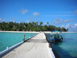 isole maldive fotografie video informazioni notizie e consigli utili alimatha resort isola di alimatha atollo di felidhoo novembre 2007 by Cristina e Roberto (utente forum Maldive kikka80)