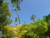 isole maldive fotografie video informazioni notizie e consigli utili alimatha resort isola di alimatha atollo di felidhoo novembre 2008 by Paolo e Simona  (utente forum maldive Yoda)