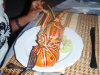 isole maldive fotografie video informazioni notizie e consigli utili alimatha resort isola di alimatha atollo di felidhoo novembre 2008 by Paolo e Simona  (utente forum maldive Yoda)