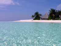 foto isole maldive viaggio febbraio 2004: angaga resort isola di angaaga atollo di ari sud By Max