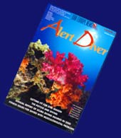 informazioni, consigli utili degli esperti sub delle isole maldive : Sezione del sito web dedicata agli approfondimenti delle tematiche relative alla subacquea, allo snorkelling, all'apnea e agli aspetti medici. In collaborazione con gli esperti sub di www.tuttomaldive.it : istruttori, dive master, medici, tecnici iperbarici geologi, biologi e altri esperti alle isole maldive
