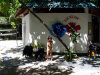 isole maldive asdu il diving foto photo informazioni notizie utili isole maldive asdu sun island resort isola di asdhoo atollo di male nord novembre 2005 by Stefano, Paola, Francesca, Roberto, Marina, Lorenzo, Silvia e Paolo