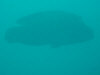 isole maldive asdu il diving foto photo informazioni notizie utili isole maldive asdu sun island resort isola di asdhoo atollo di male nord novembre 2005 by Stefano, Paola, Francesca, Roberto, Marina, Lorenzo, Silvia e Paolo
