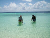 asdu_diving_28.jpg (63406 byte)