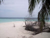 isole maldive le spiagge dell'isola di asdu foto photo informazioni notizie utili isole maldive asdu sun island resort isola di asdhoo atollo di male nord novembre 2005 by Stefano, Paola, Francesca, Roberto, Marina, Lorenzo, Silvia e Paolo