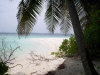 isole maldive le spiagge dell'isola di asdu foto photo informazioni notizie utili isole maldive asdu sun island resort isola di asdhoo atollo di male nord novembre 2005 by Stefano, Paola, Francesca, Roberto, Marina, Lorenzo, Silvia e Paolo
