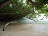 isole maldive le spiagge dell'isola di asdu foto photo informazioni notizie utili isole maldive asdu sun island resort isola di asdhoo atollo di male nord novembre 2005 by Stefano, Paola, Francesca, Roberto, Marina, Lorenzo, Silvia e Paolo
