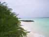 isole maldive le spiagge dell'isola di asdu foto photo informazioni notizie utili isole maldive asdu sun island resort isola di asdhoo atollo di male nord novembre 2005 by Stefano, Paola, Francesca, Roberto, Marina, Lorenzo, Silvia e Paolo