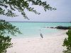 asdu_spiagge_16.jpg (63278 byte)
