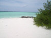 asdu_spiagge_17.jpg (61607 byte)