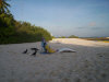 asdu_spiagge_24.jpg (65408 byte)