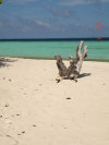 isole maldive le spiagge dell'isola di asdu foto photo informazioni notizie utili isole maldive asdu sun island resort isola di asdhoo atollo di male nord novembre 2005 by Stefano, Paola, Francesca, Roberto, Marina, Lorenzo, Silvia e Paolo