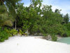 isole maldive le spiagge dell'isola di asdu foto photo informazioni notizie utili isole maldive asdu sun island resort isola di asdhoo atollo di male nord novembre 2005 by Stefano, Paola, Francesca, Roberto, Marina, Lorenzo, Silvia e Paolo