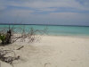 isole maldive le spiagge dell'isola di asdu foto photo informazioni notizie utili isole maldive asdu sun island resort isola di asdhoo atollo di male nord novembre 2005 by Stefano, Paola, Francesca, Roberto, Marina, Lorenzo, Silvia e Paolo