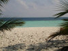 isole maldive le spiagge dell'isola di asdu foto photo informazioni notizie utili isole maldive asdu sun island resort isola di asdhoo atollo di male nord novembre 2005 by Stefano, Paola, Francesca, Roberto, Marina, Lorenzo, Silvia e Paolo