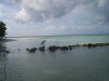 asdu_spiagge_50.jpg (62302 byte)