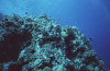 isole maldive foto immersioni informazioni notizie utili isole maldive asdu sun island resort isola di asdhoo atollo di male nord by Elena e Gianni nel marzo 2006