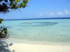 isole maldive fotografie informazioni notizie utili isole maldive asdu sun island resort isola di asdhoo atollo di male nord by Alessandra e Marco nell'aprile 2006