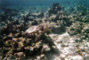 isole maldive fotografie informazioni notizie utili isole maldive asdu sun island resort isola di asdhoo atollo di male nord by Alessandra e Marco nell'aprile 2006