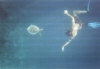 isole maldive fotografie informazioni notizie utili isole maldive asdu sun island resort isola di asdhoo atollo di male nord by Alessandra e Marco nell'aprile 2006