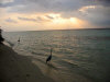 isole maldive fotografie informazioni notizie utili isole maldive asdu sun island resort isola di asdhoo atollo di male nord by Alessandra e Marco nell'aprile 2006
