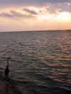 isole maldive fotografie informazioni notizie utili isole maldive asdu sun island resort isola di asdhoo atollo di male nord by Alessandra e Marco nell'aprile 2006