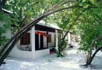 Isole Maldive Asdu Sun island resort isola di Asdhoo atollo di male nord