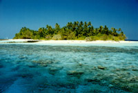 Isole Maldive Asdu Sun island resort isola di Asdhoo atollo di male nord