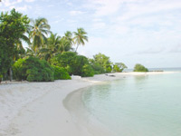 Isole Maldive Asdu Sun island resort isola di Asdhoo atollo di male nord