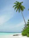 isole maldive foto photo consigli utili informazioni maldive athuruga resort isola di athurugaa atollo di ari sud agosto 2004 by Ale&Tullio