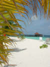 isole maldive foto photo consigli utili informazioni maldive athuruga resort isola di athurugaa atollo di ari sud agosto 2004 by Ale&Tullio