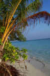 athuruga_spiagge_ne_3438.JPG (56933 byte)