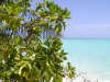 isole maldive foto photo consigli utili informazioni  athuruga resort isola di athurugaa atollo di ari sud maggio 2004 by Annabelle&Markus