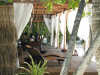 isole maldive foto photo consigli utili informazioni  athuruga resort isola di athurugaa atollo di ari sud maggio 2004 by Annabelle&Markus
