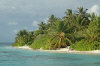 isole maldive fotografie informazioni consigli utili isole maldive bandos resort isola di bodubados atollo di male nord agosto 2006 by Debora e Michele utente forum maldive Taldi72
